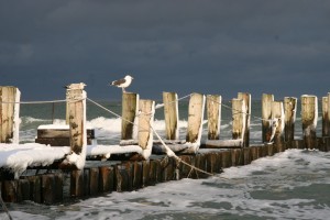 Veranstaltungsaklender Zingst - Januar/Februar