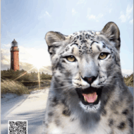 Darßer NaturfilmFestival
